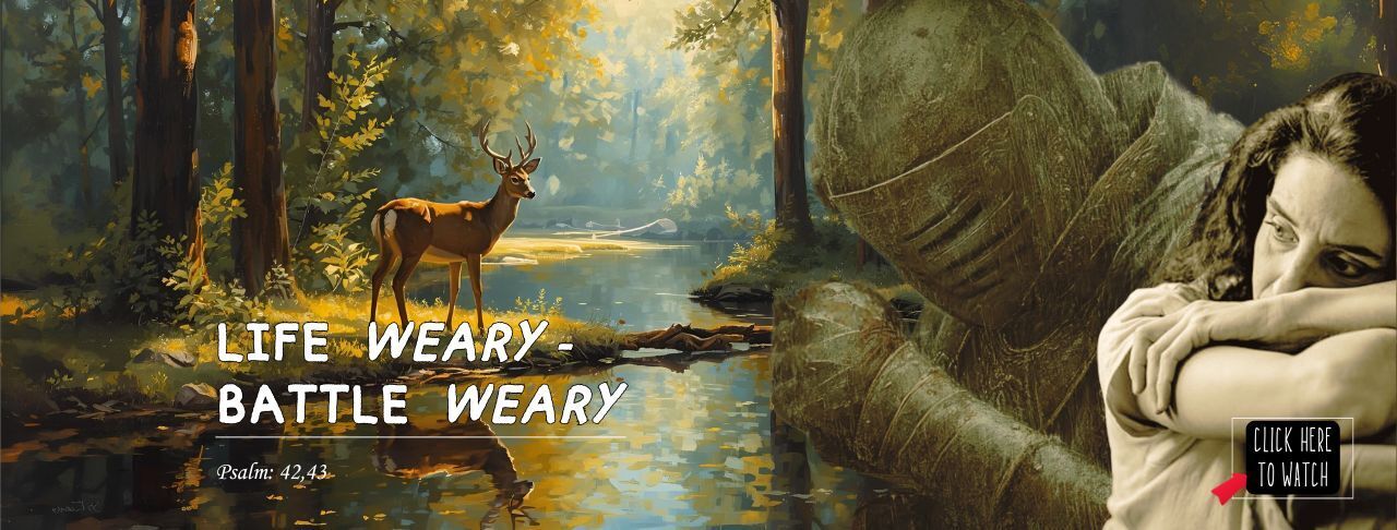 Life Weary Battle Weary